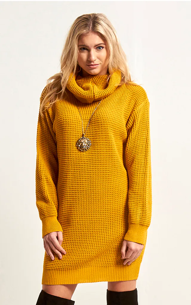 Roll Neck Knitted Dress in Mustard | STYLE THREAD | SilkFred Roll Neck Knitted Dress in Mustard | STYLE THREAD | SilkFred